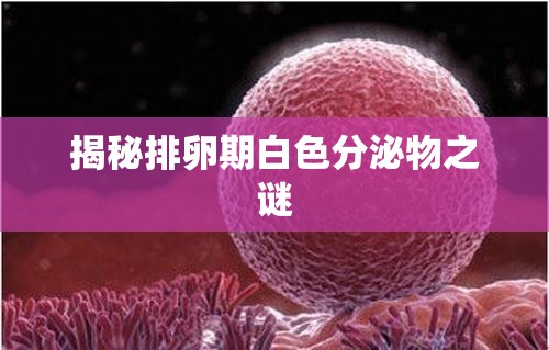 揭秘排卵期白色分泌物之謎