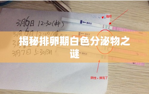 揭秘排卵期白色分泌物之謎
