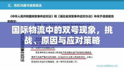 國際物流中的雙號現象，挑戰(zhàn)、原因與應對策略