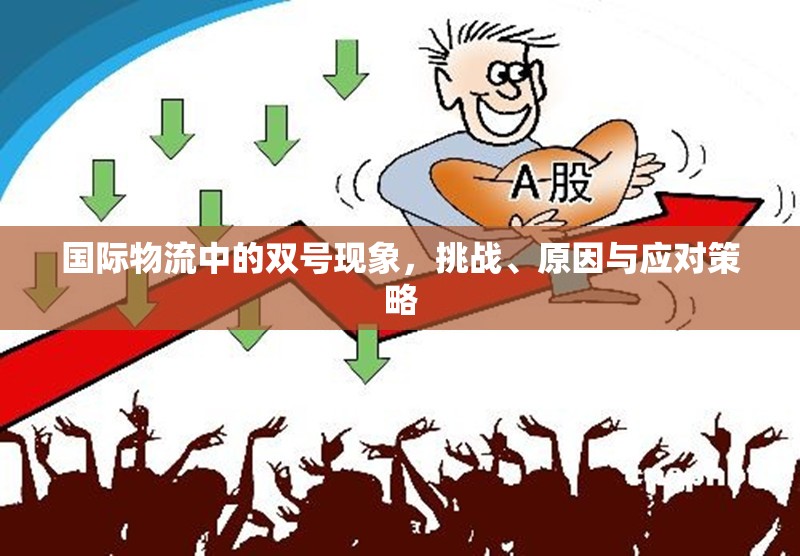 國際物流中的雙號現象，挑戰(zhàn)、原因與應對策略