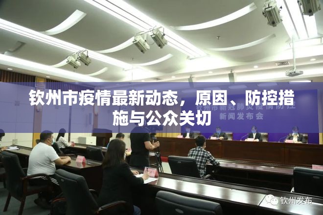欽州市疫情最新動(dòng)態(tài)，原因、防控措施與公眾關(guān)切