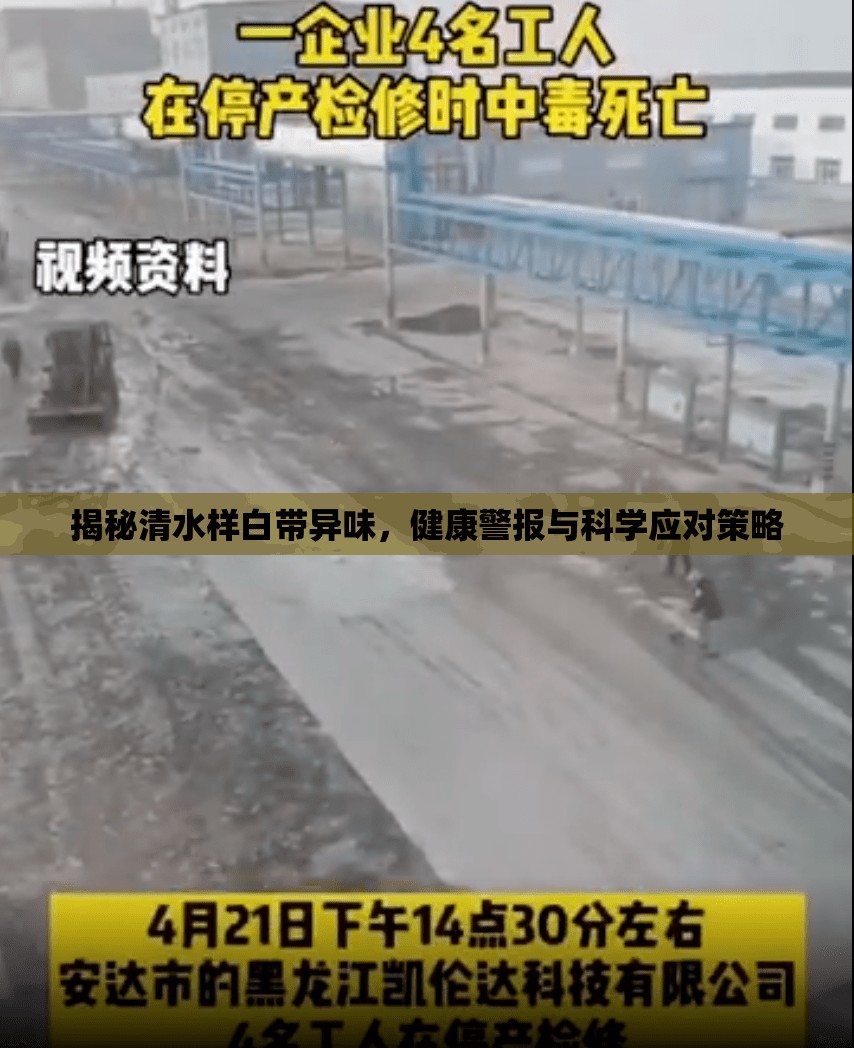 揭秘清水樣白帶異味，健康警報(bào)與科學(xué)應(yīng)對(duì)策略