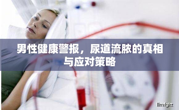 男性健康警報，尿道流膿的真相與應(yīng)對策略