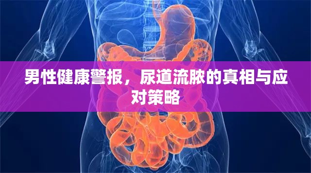 男性健康警報，尿道流膿的真相與應(yīng)對策略