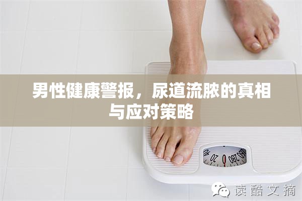 男性健康警報，尿道流膿的真相與應(yīng)對策略
