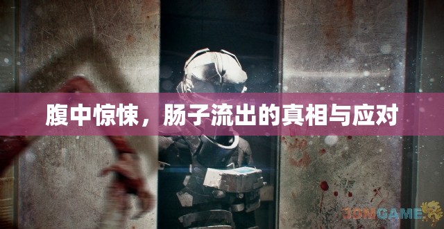 腹中驚悚，腸子流出的真相與應(yīng)對