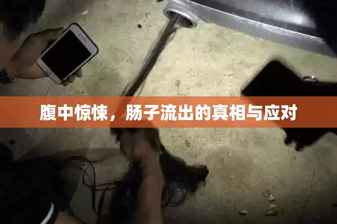 腹中驚悚，腸子流出的真相與應(yīng)對