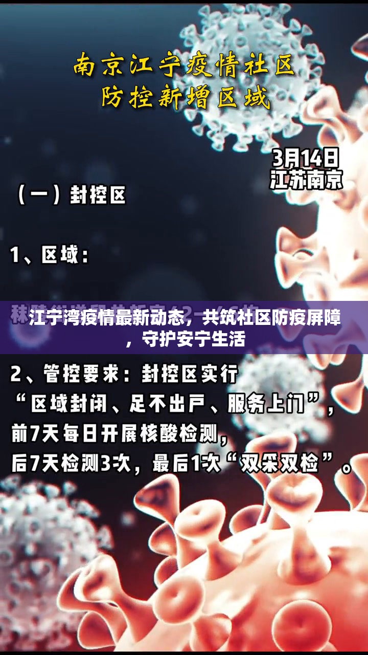 江寧灣疫情最新動態(tài)，共筑社區(qū)防疫屏障，守護(hù)安寧生活