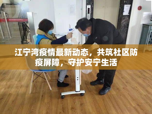 江寧灣疫情最新動態(tài)，共筑社區(qū)防疫屏障，守護(hù)安寧生活