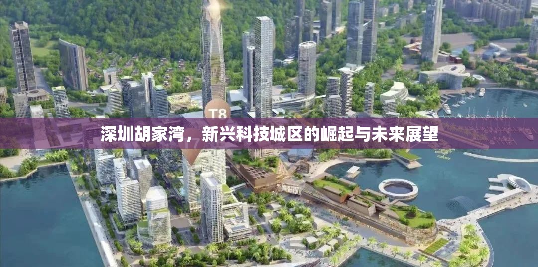 深圳胡家灣，新興科技城區(qū)的崛起與未來(lái)展望