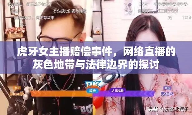 虎牙女主播賠償事件，網(wǎng)絡(luò)直播的灰色地帶與法律邊界的探討