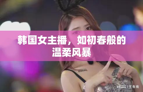 韓國(guó)女主播，如初春般的溫柔風(fēng)暴