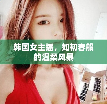 韓國(guó)女主播，如初春般的溫柔風(fēng)暴