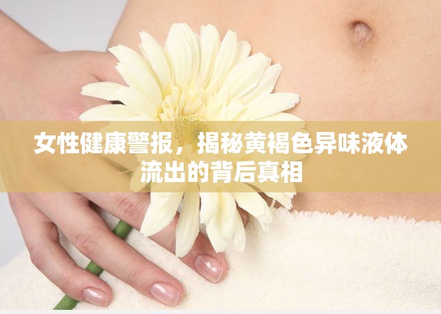 女性健康警報(bào)，揭秘黃褐色異味液體流出的背后真相