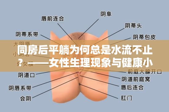 同房后平躺為何總是水流不止？——女性生理現(xiàn)象與健康小貼士