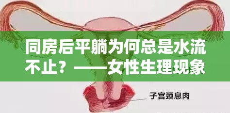 同房后平躺為何總是水流不止？——女性生理現(xiàn)象與健康小貼士