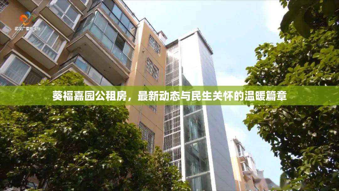 葵福嘉園公租房，最新動態(tài)與民生關懷的溫暖篇章