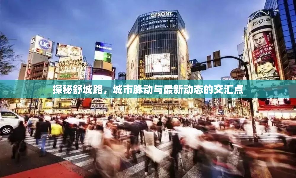 探秘舒城路，城市脈動(dòng)與最新動(dòng)態(tài)的交匯點(diǎn)