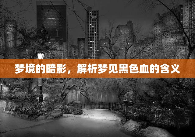 夢境的暗影，解析夢見黑色血的含義