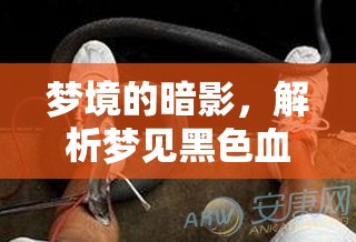 夢境的暗影，解析夢見黑色血的含義