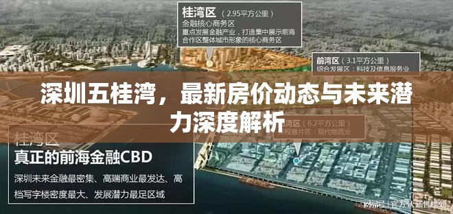 深圳五桂灣，最新房價(jià)動(dòng)態(tài)與未來潛力深度解析