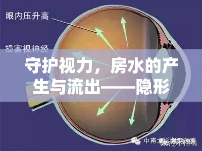 守護(hù)視力，房水的產(chǎn)生與流出——隱形通道的奧秘