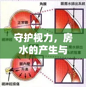 守護(hù)視力，房水的產(chǎn)生與流出——隱形通道的奧秘