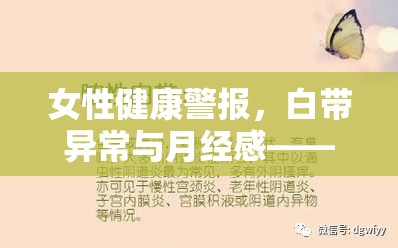 女性健康警報，白帶異常與月經(jīng)感——揭秘私密健康的秘密