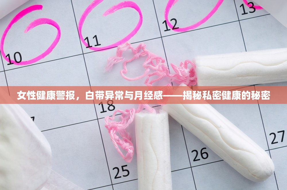 女性健康警報，白帶異常與月經(jīng)感——揭秘私密健康的秘密