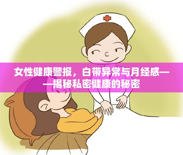 女性健康警報，白帶異常與月經(jīng)感——揭秘私密健康的秘密