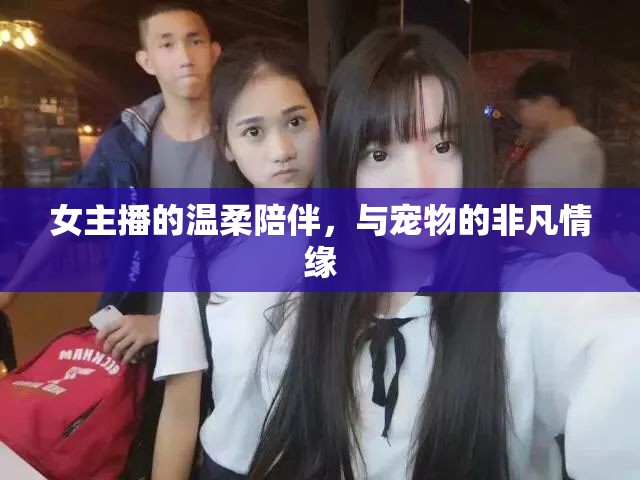 女主播的溫柔陪伴，與寵物的非凡情緣