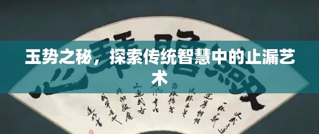 玉勢(shì)之秘，探索傳統(tǒng)智慧中的止漏藝術(shù)