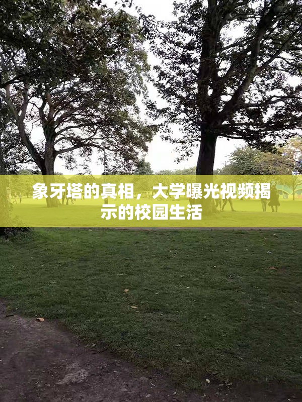 象牙塔的真相，大學(xué)曝光視頻揭示的校園生活