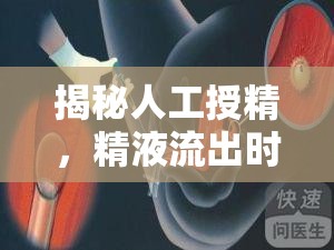 揭秘人工授精，精液流出時間與成功受孕的奧秘