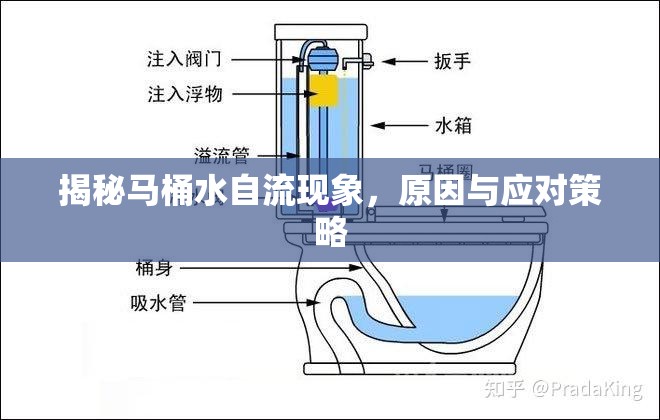 揭秘馬桶水自流現(xiàn)象，原因與應(yīng)對(duì)策略