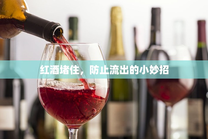紅酒堵住，防止流出的小妙招