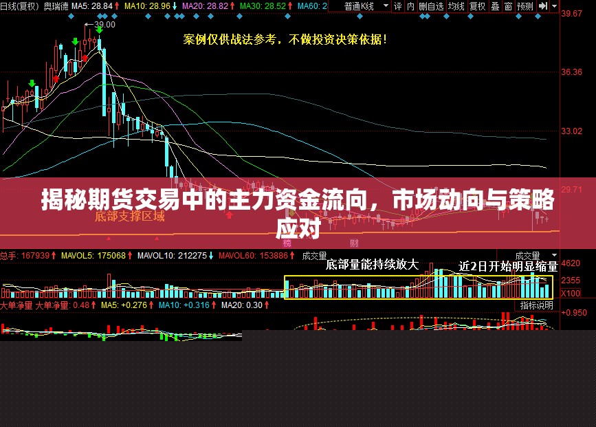 揭秘期貨交易中的主力資金流向，市場動(dòng)向與策略應(yīng)對(duì)