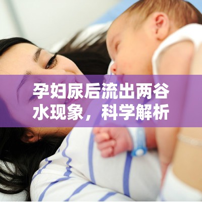 孕婦尿后流出兩谷水現(xiàn)象，科學(xué)解析與日常護(hù)理指南