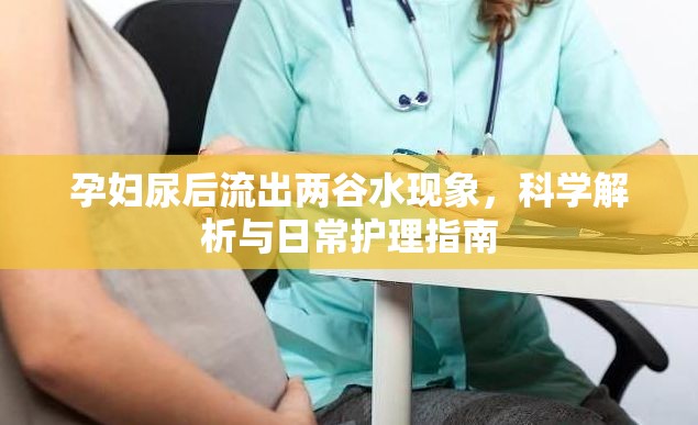 孕婦尿后流出兩谷水現(xiàn)象，科學(xué)解析與日常護(hù)理指南