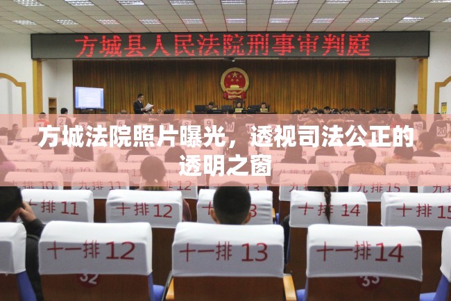 方城法院照片曝光，透視司法公正的透明之窗