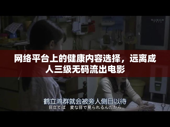 網(wǎng)絡(luò)平臺(tái)上的健康內(nèi)容選擇，遠(yuǎn)離成人三級(jí)無(wú)碼流出電影