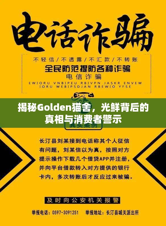 揭秘Golden貓舍，光鮮背后的真相與消費(fèi)者警示