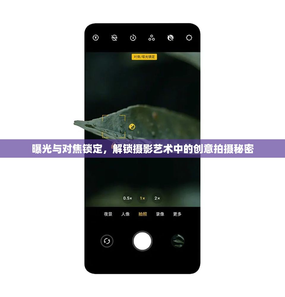 曝光與對焦鎖定，解鎖攝影藝術(shù)中的創(chuàng)意拍攝秘密