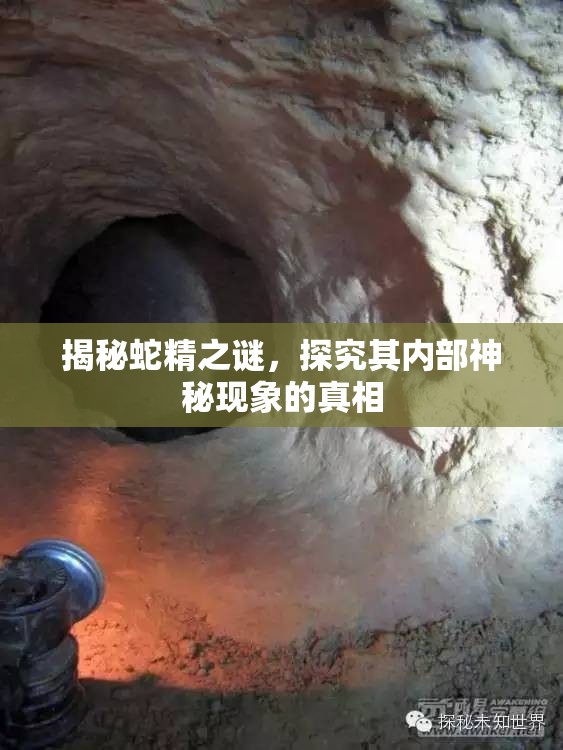 揭秘蛇精之謎，探究其內(nèi)部神秘現(xiàn)象的真相