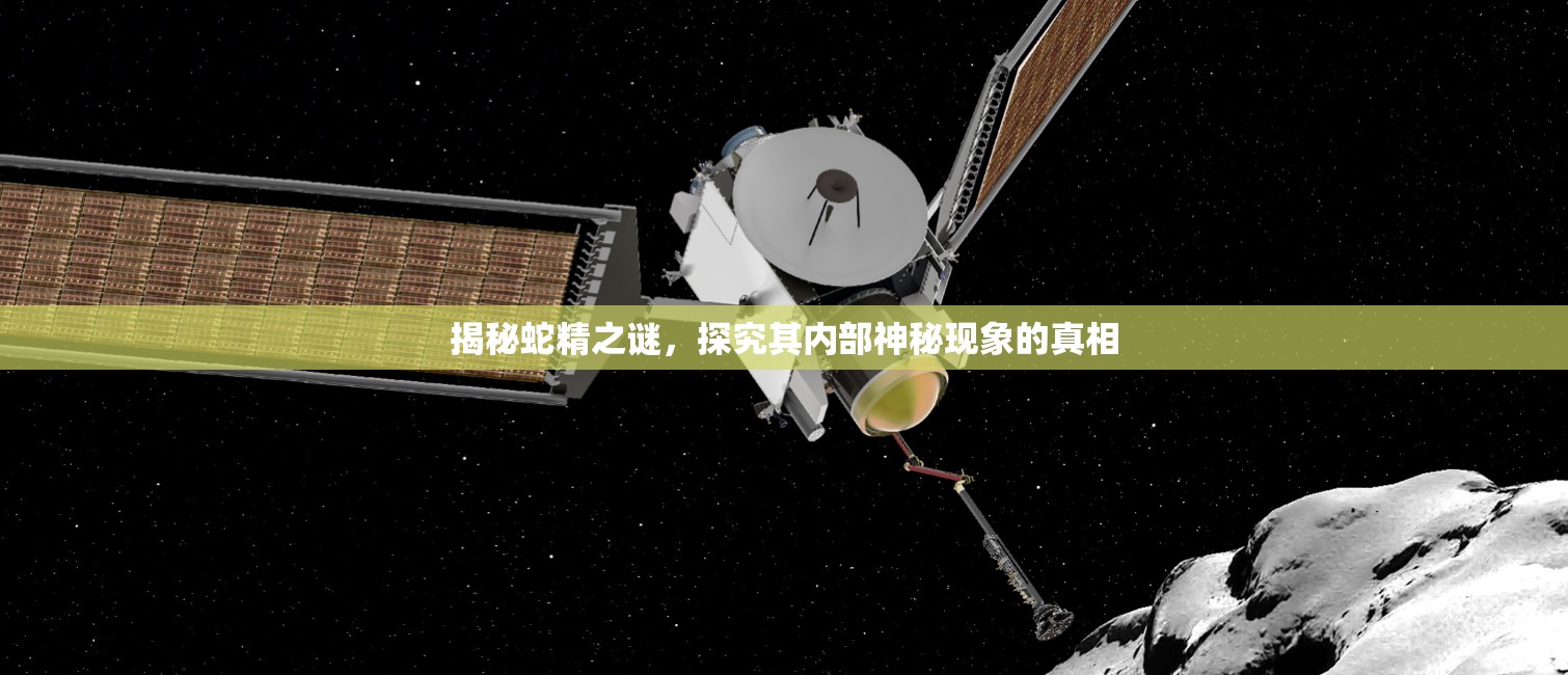 揭秘蛇精之謎，探究其內(nèi)部神秘現(xiàn)象的真相