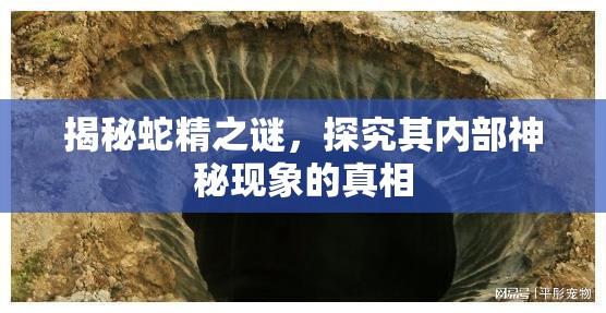 揭秘蛇精之謎，探究其內(nèi)部神秘現(xiàn)象的真相