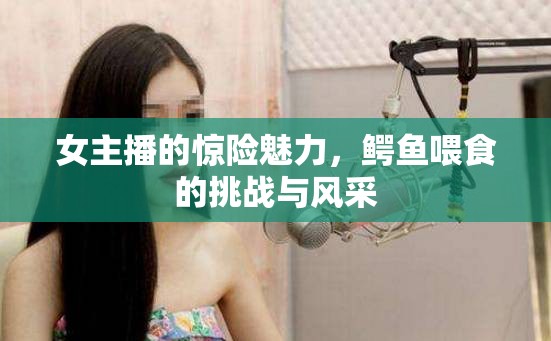 女主播的驚險魅力，鱷魚喂食的挑戰(zhàn)與風(fēng)采