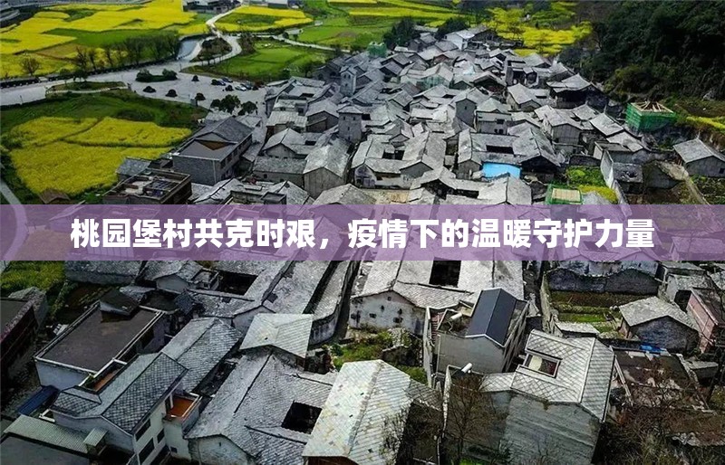 桃園堡村共克時(shí)艱，疫情下的溫暖守護(hù)力量