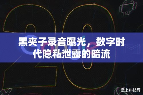 黑夾子錄音曝光，數(shù)字時(shí)代隱私泄露的暗流