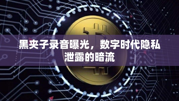 黑夾子錄音曝光，數(shù)字時(shí)代隱私泄露的暗流